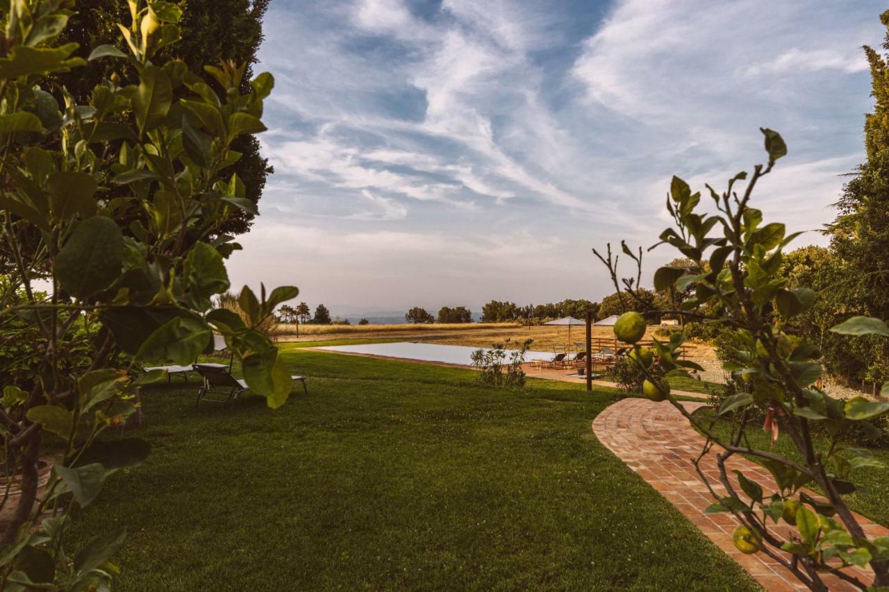 Borgo Le Colline Luxury Agriturismo In Tuscany กัมบาสซี แตร์เม ภายนอก รูปภาพ